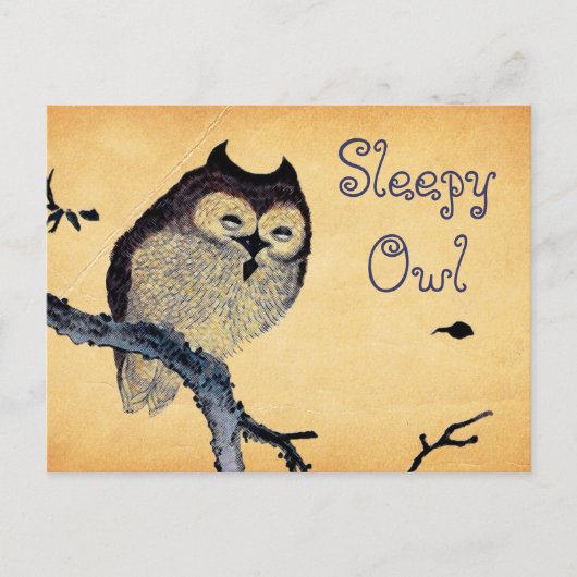 Vintages Schlafhühnchen Postkarte (Vorderseite)