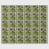 Vintages Schloss Blarney Geschenkpapier (Flach)
