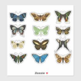 Vintages Schmetterling Set 2 Aufkleber - Klassisch