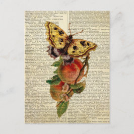 Vintages Schmetterlingswörterbuch Postkarte