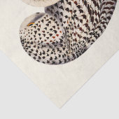 Vintages Schneeauscheln Zeichnend Seidenpapier (Detail)