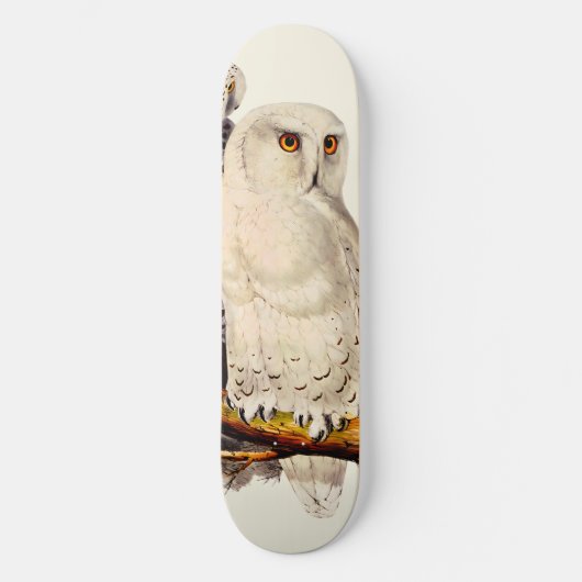 Vintages Schneeauscheln Zeichnend Skateboard (Vorderseite)