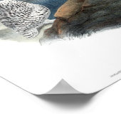 Vintages Schneeauuling Gould Poster (Ecke)