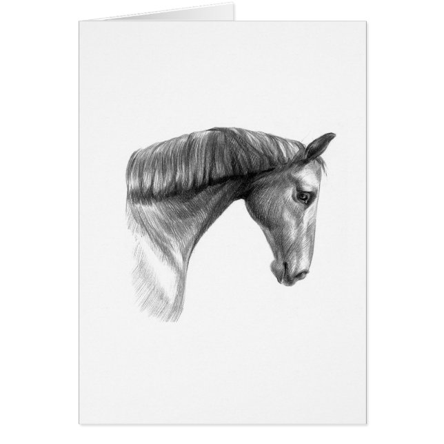 Vintages schönes dunkles Pferd (Vorne)