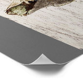 Vintages Schriftzeichen-Ephemera-Vogelnest, franzö Poster (Ecke)