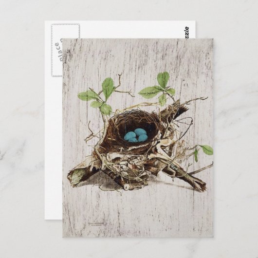 Vintages Schriftzeichen-Ephemera-Vogelnest, franzö Postkarte (Vorne/Hinten)