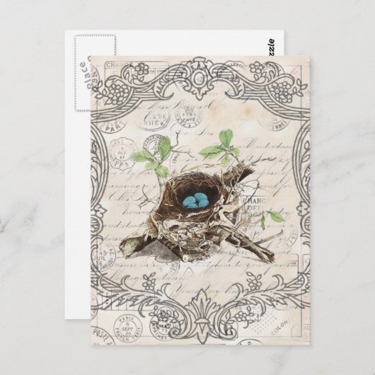Vintages Schriftzeichen-Ephemera-Vogelnest, franzö Postkarte (Vorne/Hinten)