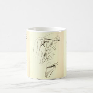 Vintages Schulterblatt der Anatomie-  (circa 1852) Kaffeetasse