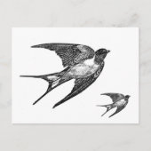 Vintages Schwarz-schlauch-Design Postkarte (Vorderseite)