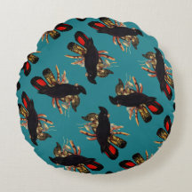 Vintages Schwarzes Cockatoo | Elizabeth Gould 1800