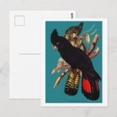 Vintages Schwarzes Cockatoo | Elizabeth Gould Pos Postkarte (Vorne/Hinten)