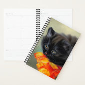 Vintages Schwarzes Kitten mit roter Blume Blanket Planer (Anzeige)