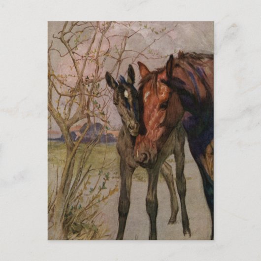 Vintages Schwarzes Schönheitspferd "Meine Mutter u Postkarte (Vorderseite)