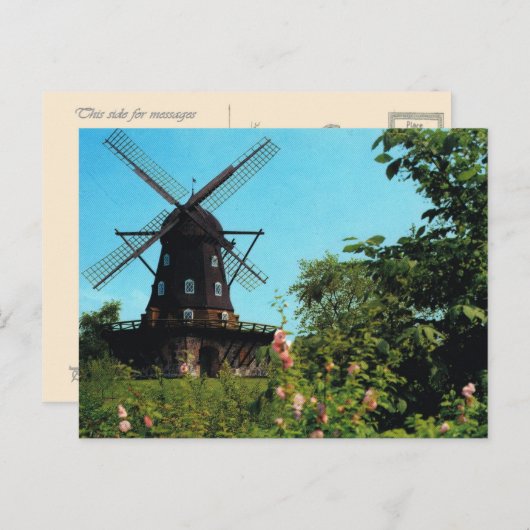 Vintages Schweden, Malmo, Windmill Postkarte (Vorne/Hinten)