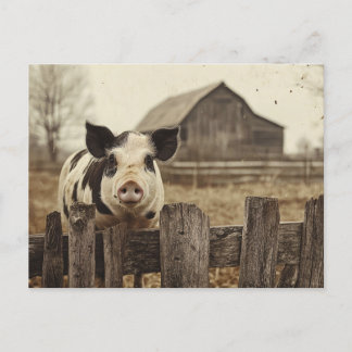 Vintages Schwein auf einem landwirtschaftlichen Be Postkarte