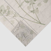 Vintages Schweinefleischpapier Seidenpapier (Detail)