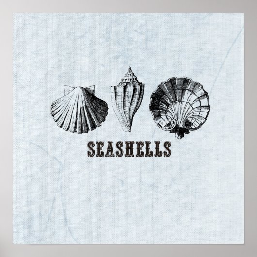 Vintages Seashells Illustration Poster (Vorne)