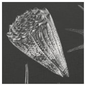 Vintages Seashells-Schwarzes Stoff (Nahaufnahme)