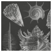 Vintages Seashells-Schwarzes Stoff (Muster)