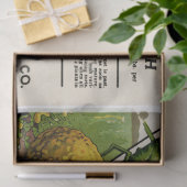 Vintages Seed Packet SommerSquash und Anleitungen Seidenpapier (Geschenk)