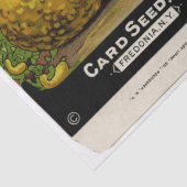 Vintages Seed Packet SommerSquash und Anleitungen Seidenpapier (Detail)