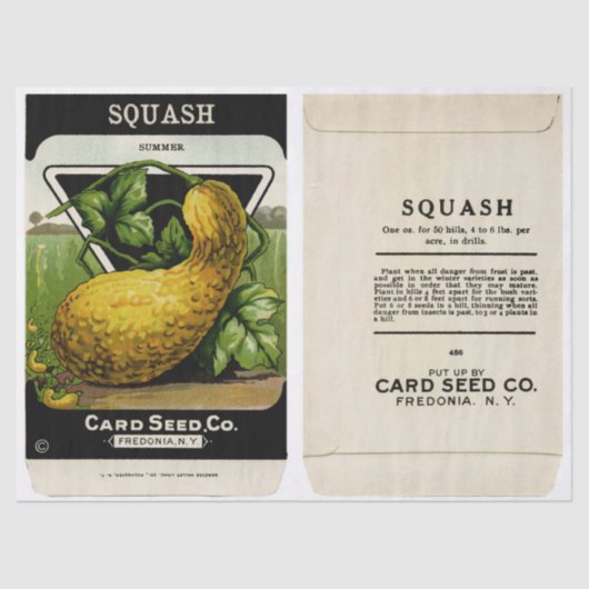 Vintages Seed Packet SommerSquash und Anleitungen Seidenpapier (Vorderseite)