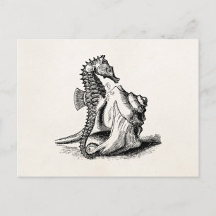 Vintages Seepferd Sea Horse Trumpet Muschel Strand Postkarte