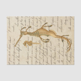 Vintages Seepferd Seidenpapier