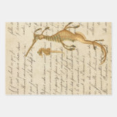 Vintages Seepferd und Skript Geschenkpapier Set (Vorderseite)