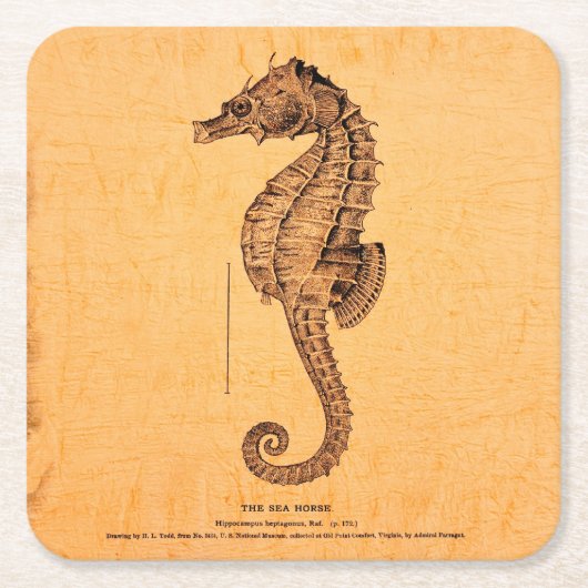 Vintages Seepferdchen Rechteckiger Pappuntersetzer (Vorderseite)