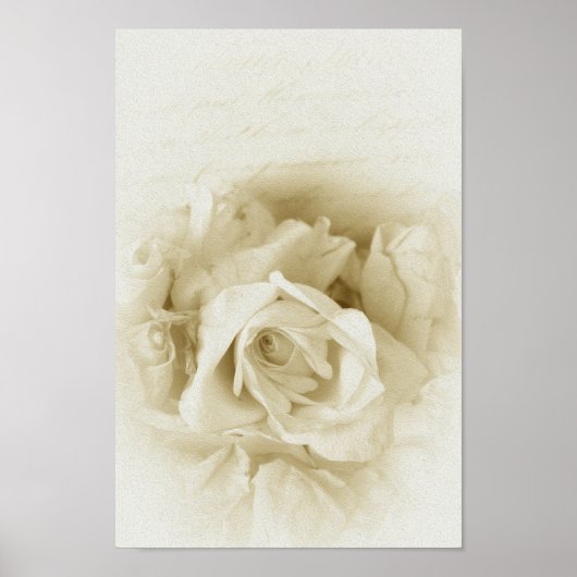 Vintages Shabby Chic - Weiße Rose und Skript Poster (Vorne)