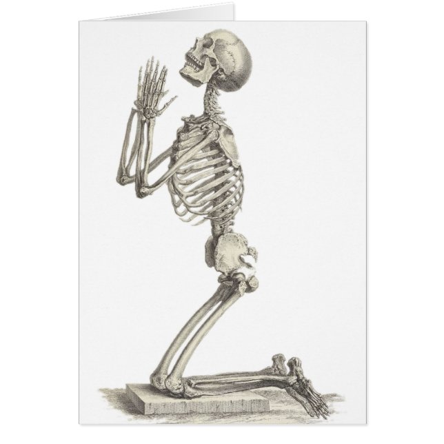 Vintages Skelett (Vorne)