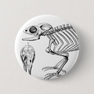 Vintages Skelett Button