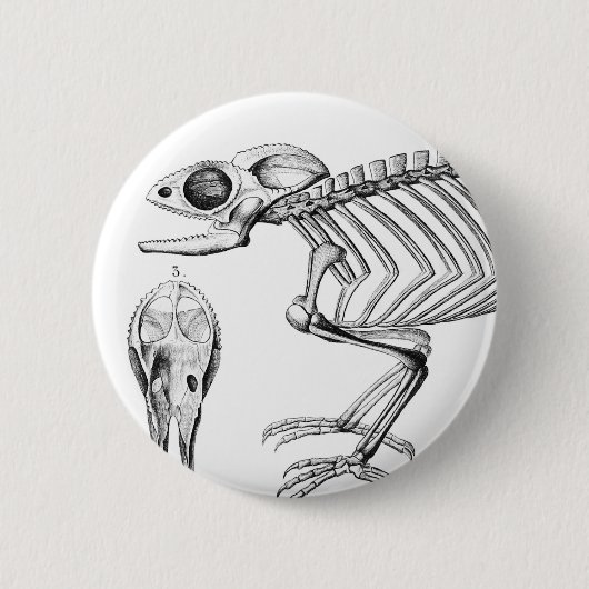 Vintages Skelett Button (Vorderseite)