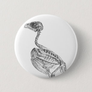 Vintages Skelett Button
