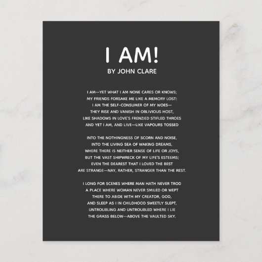 Vintages Skelett Flyer (Hinten)