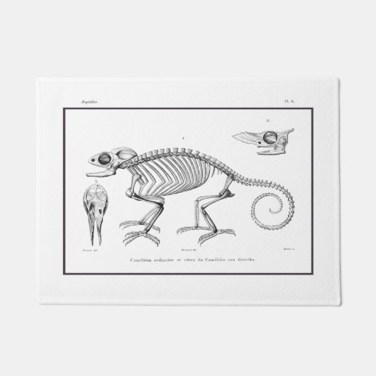 Vintages Skelett Fußmatte (Vorderseite)