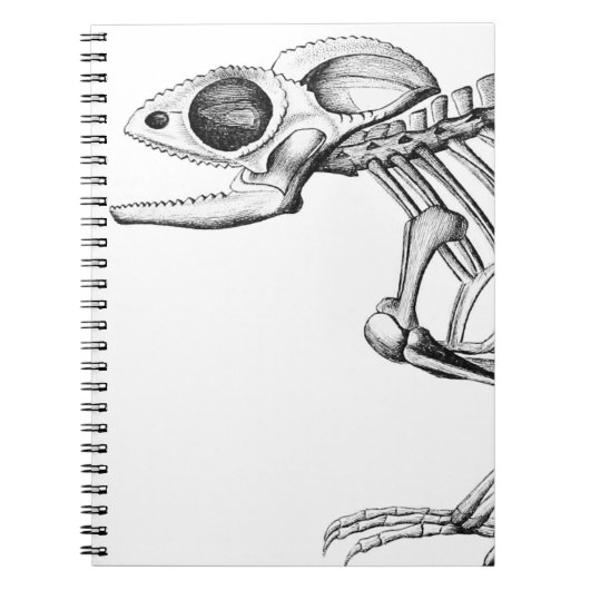 Vintages Skelett Notizblock (Vorderseite)