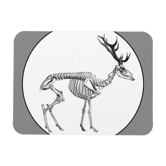 Vintages Skelett zeichnend Rentiere Magnet (Horizontal)
