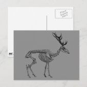 Vintages Skelett zeichnend Rentiere Postkarte (Vorne/Hinten)
