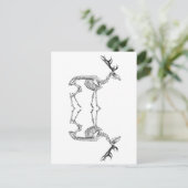 Vintages Skelett zeichnend Rentiere Postkarte (Stehend Vorderseite)