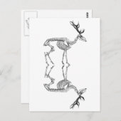 Vintages Skelett zeichnend Rentiere Postkarte (Vorne/Hinten)