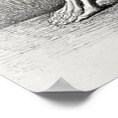 Vintages Skelettanatomie-Poster Poster (Ecke)
