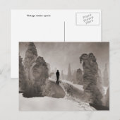 Vintages Skikabild, eine Baumallee Postkarte (Vorne/Hinten)