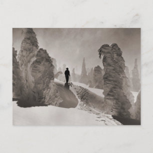 Vintages Skikabild, eine Baumallee Postkarte