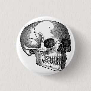 Vintages Skull-Diagramm Button mit der Schaltfläc