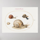 Vintages Snails Poster (Vorne)