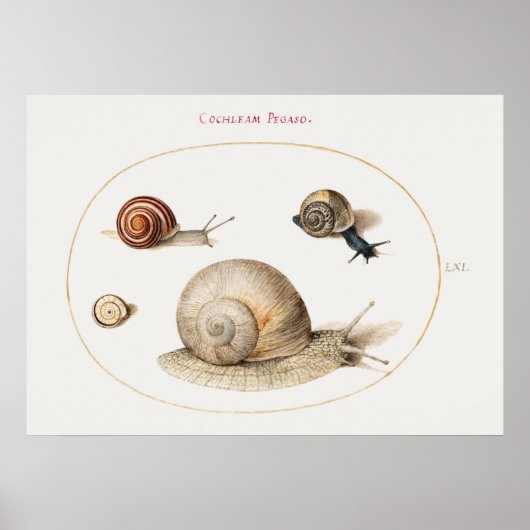 Vintages Snails Poster (Vorne)