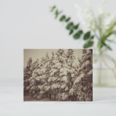 Vintages Snowscape, Conifer, CO Postkarte (Stehend Vorderseite)