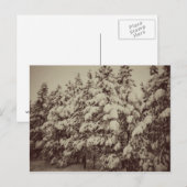 Vintages Snowscape, Conifer, CO Postkarte (Vorne/Hinten)